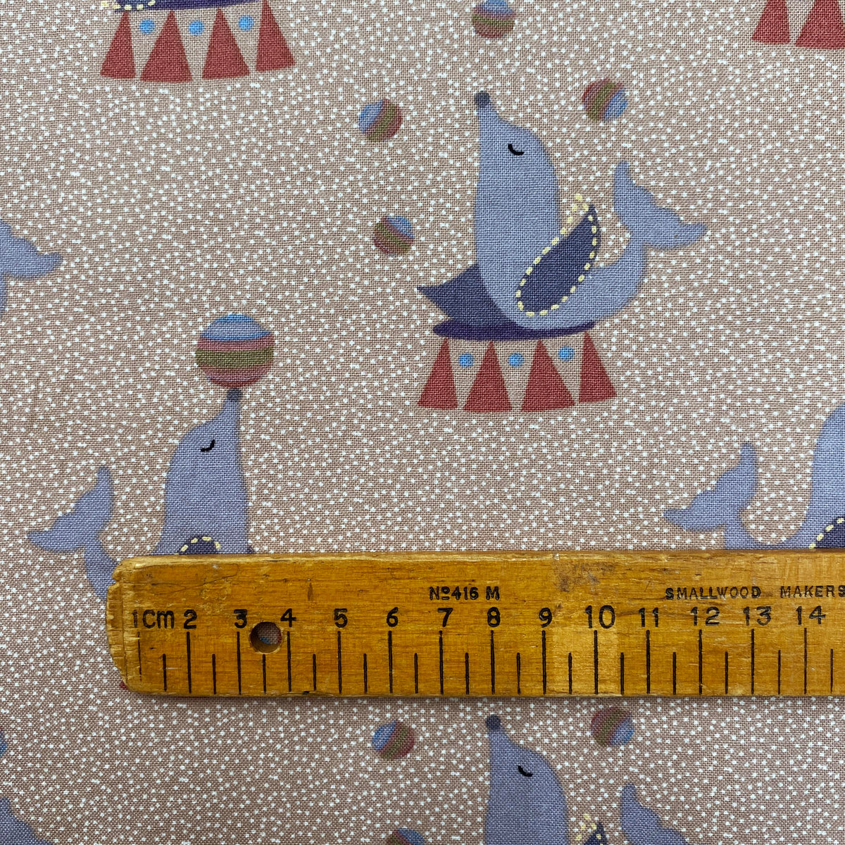 Circus Seals