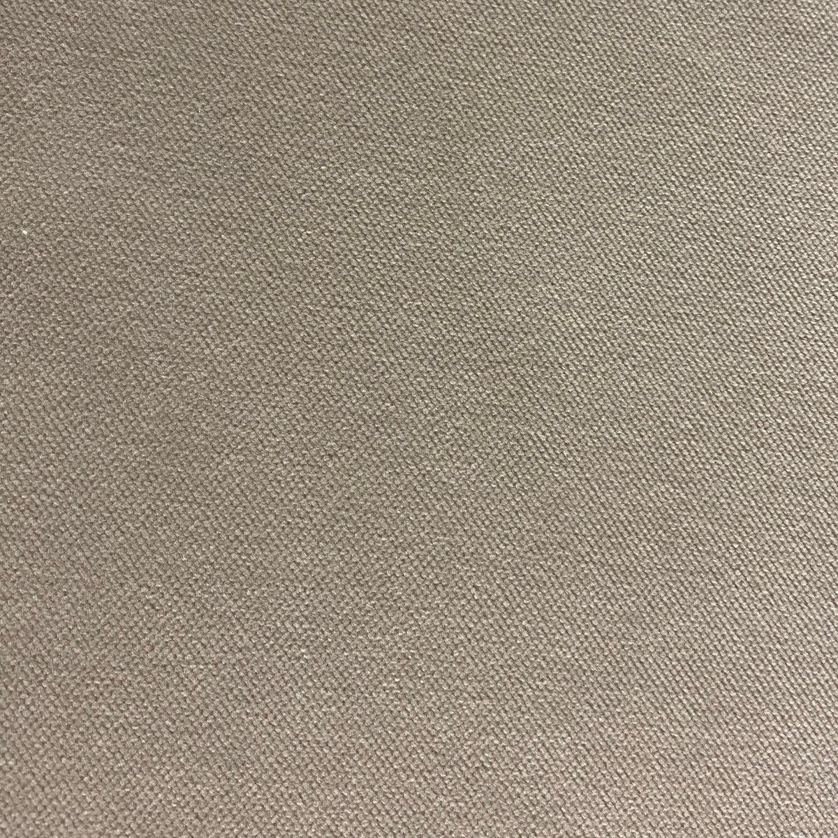 Buttermilk Velour Touch
