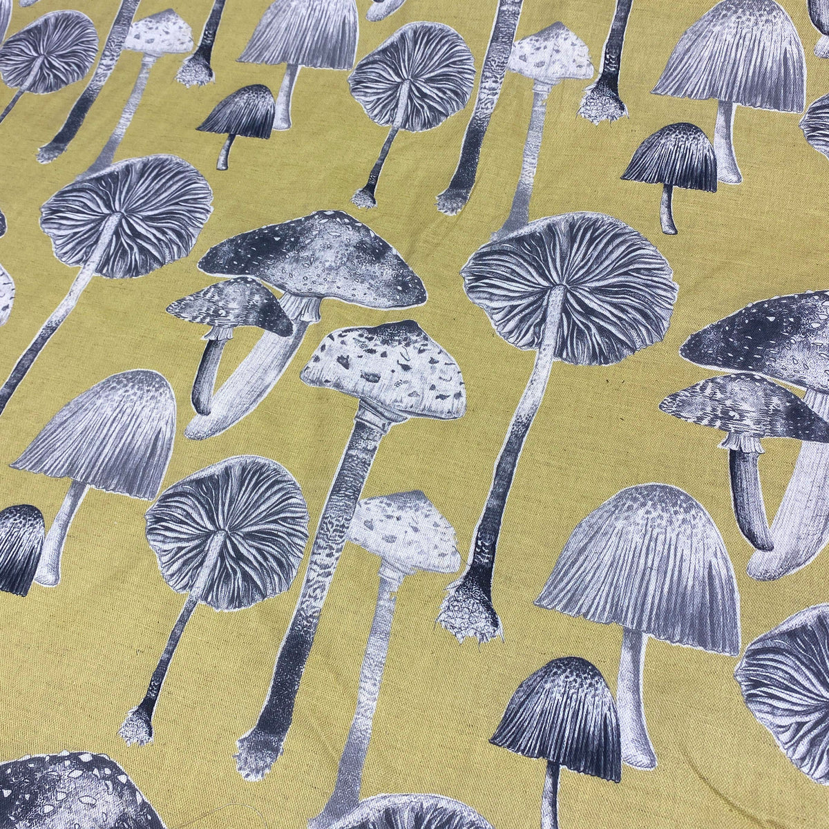 Toadstools