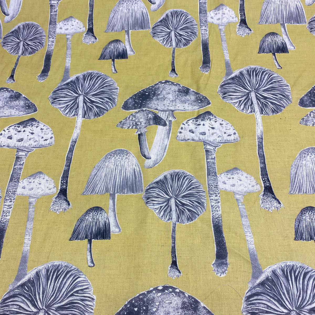 Toadstools