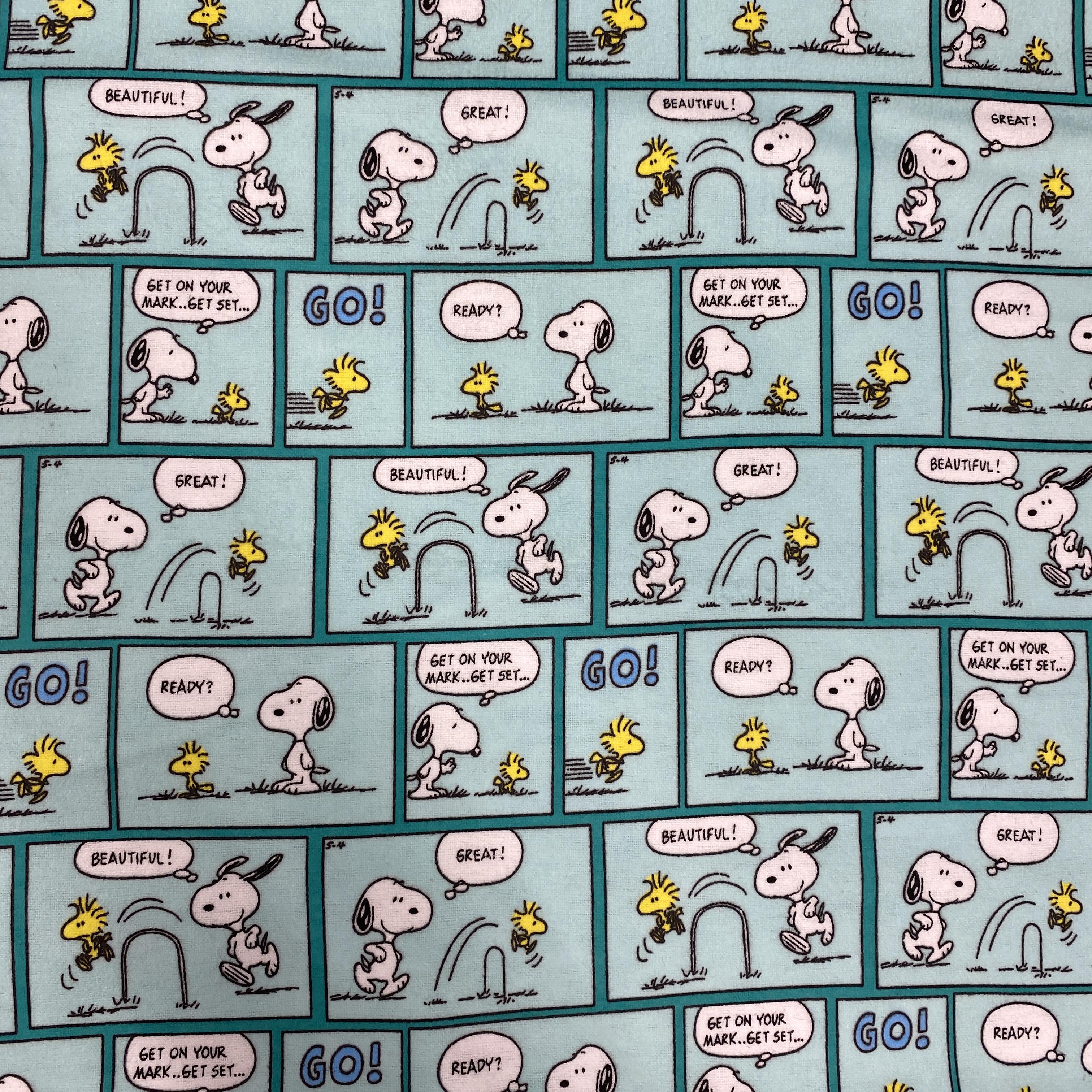 Snoopy Go!
