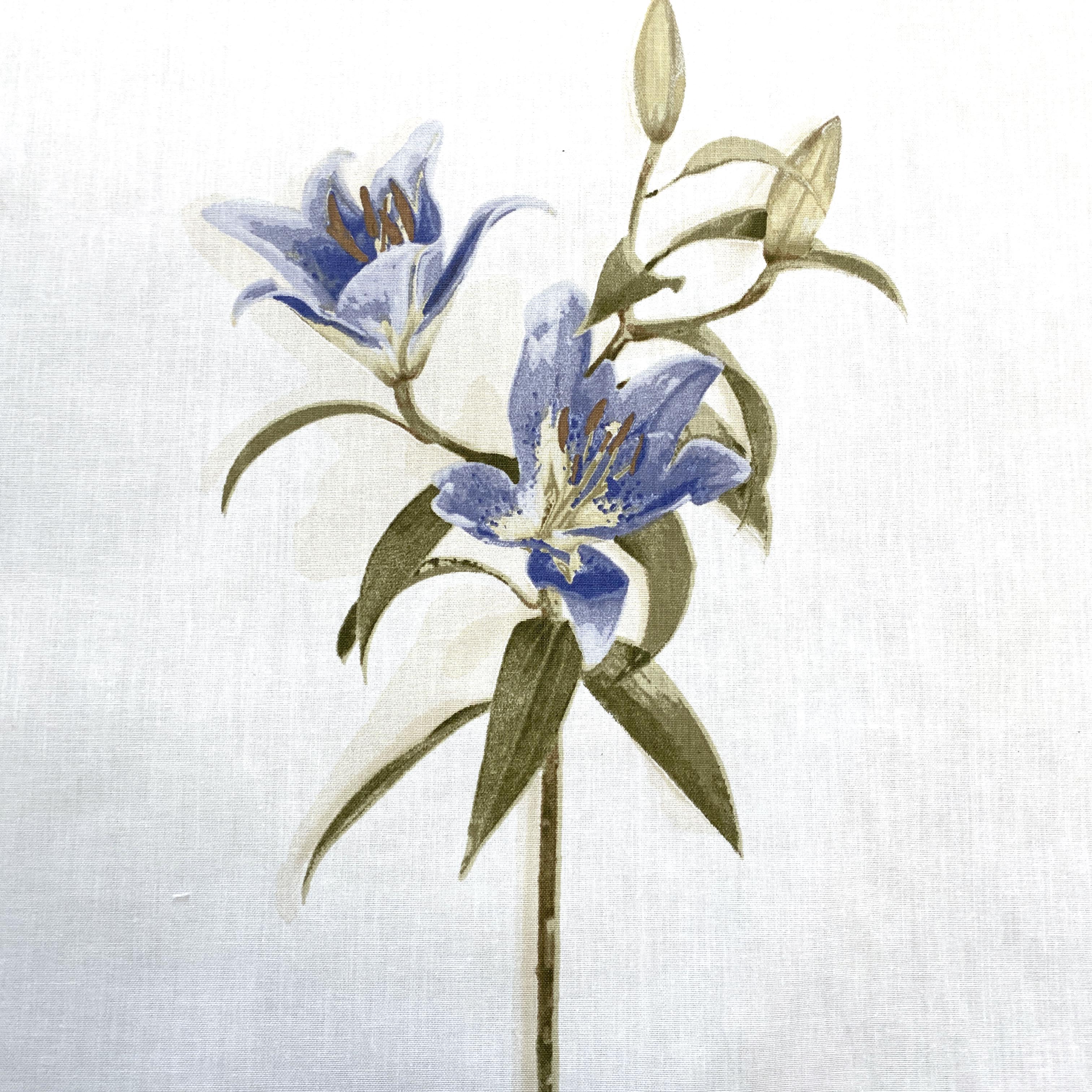 Lily by Villa Nova - 139cm x 400cm