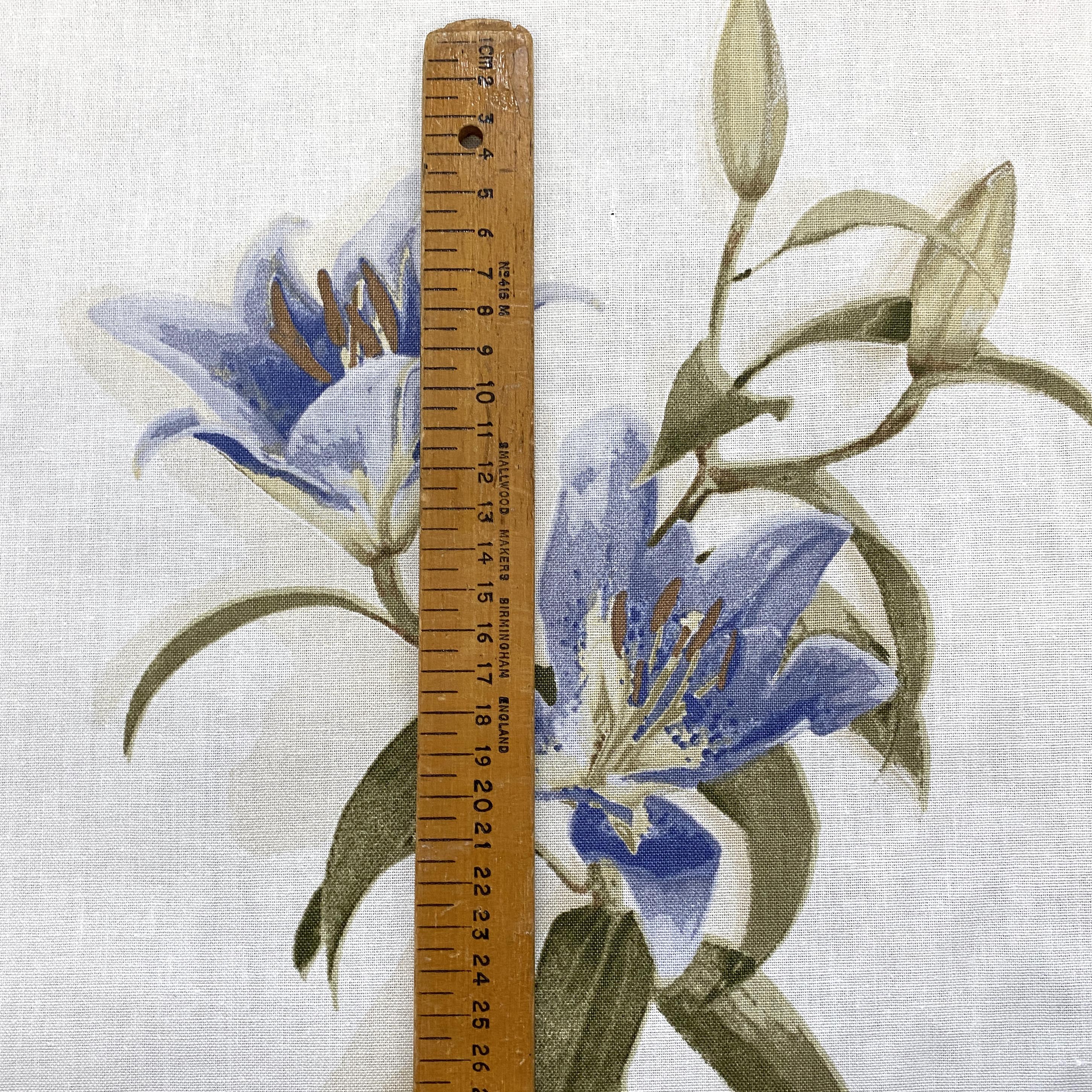 Lily by Villa Nova - 139cm x 400cm