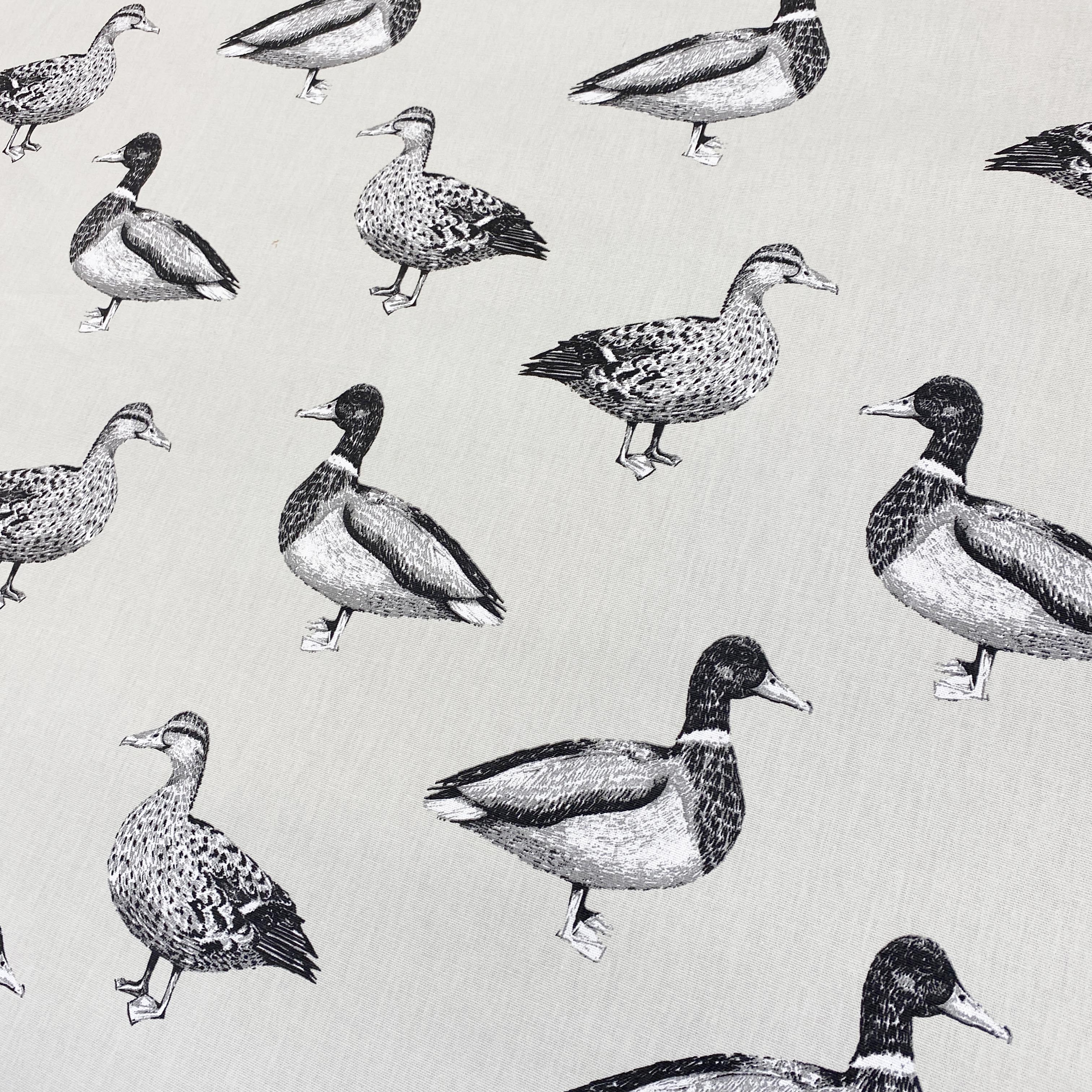 Duck Canvas