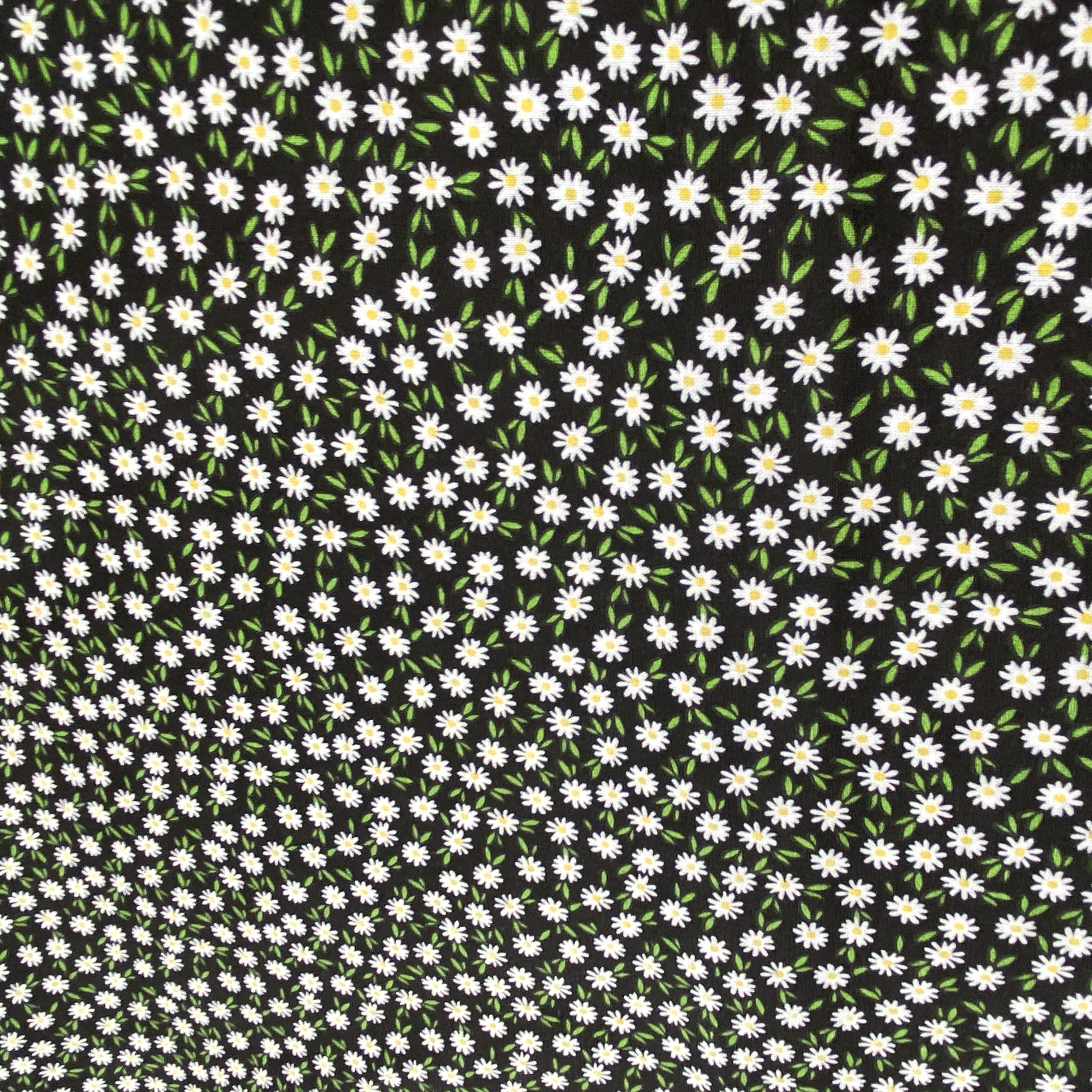 Ditsy Daisies