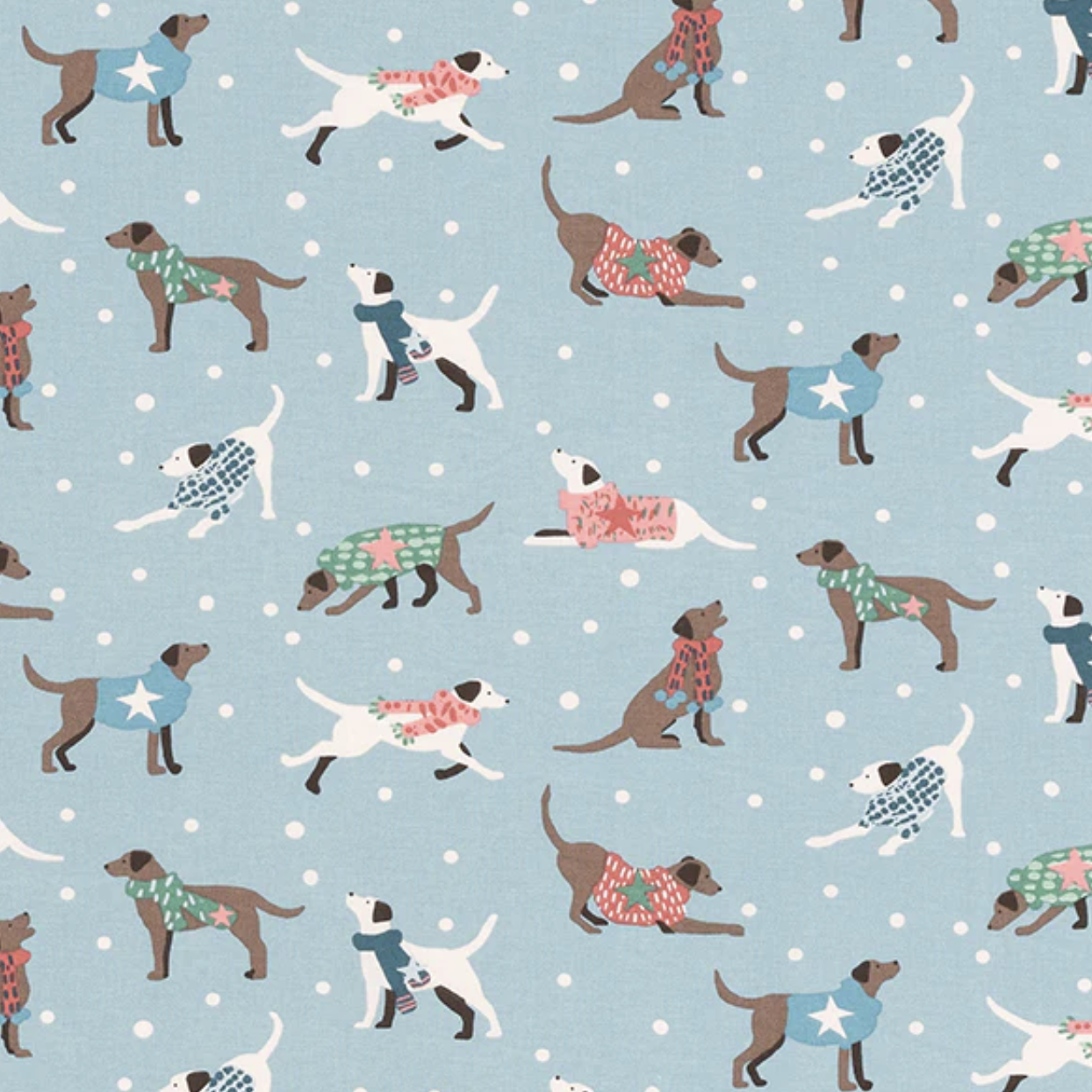 Dapper Dogs - Seafoam