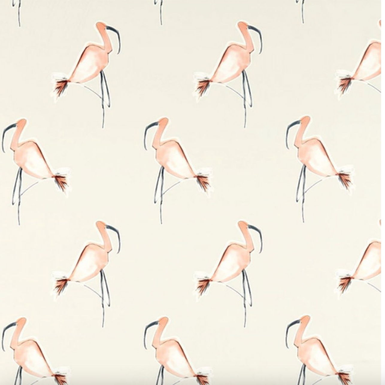 Zanzibar Peach by Scion