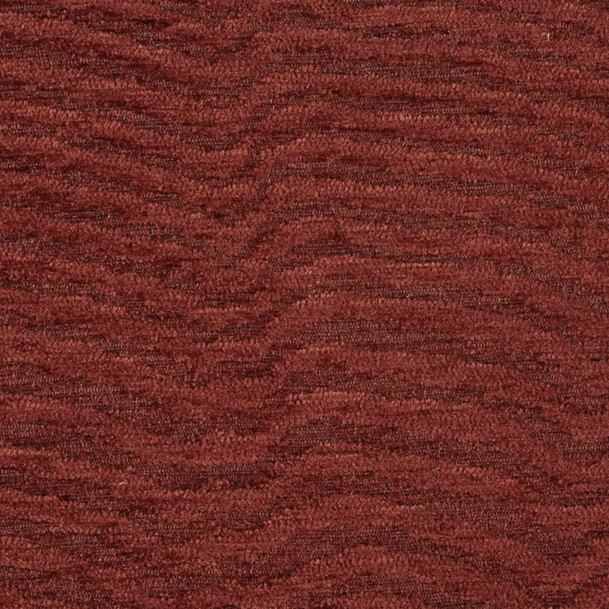 Harlquin Waltz Harissa