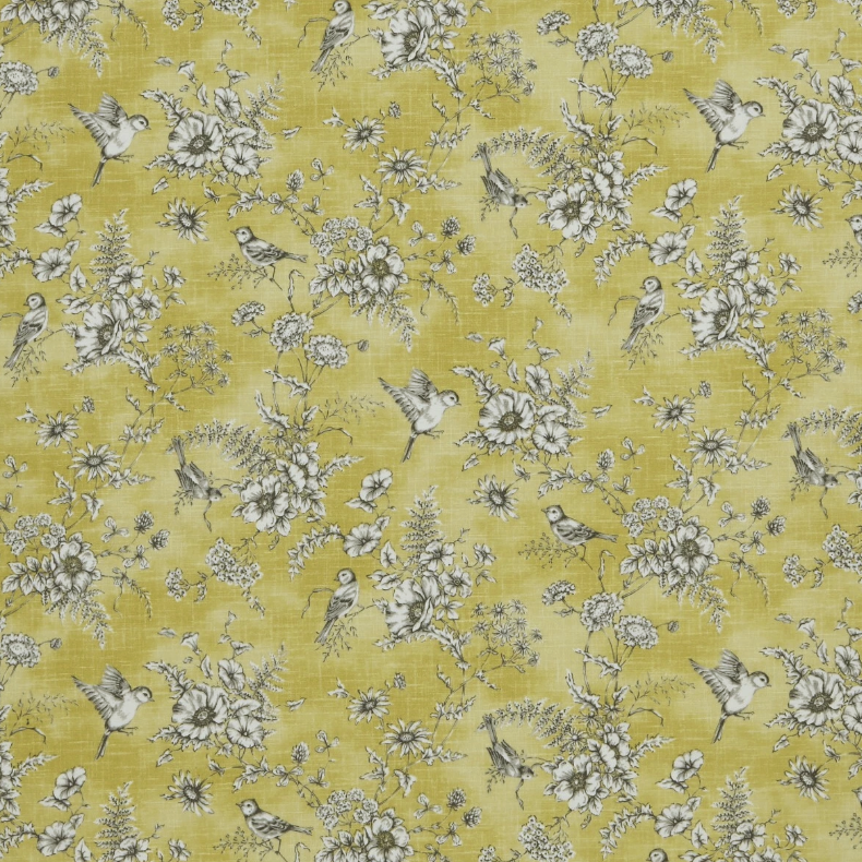 Finch Toule - Buttercup