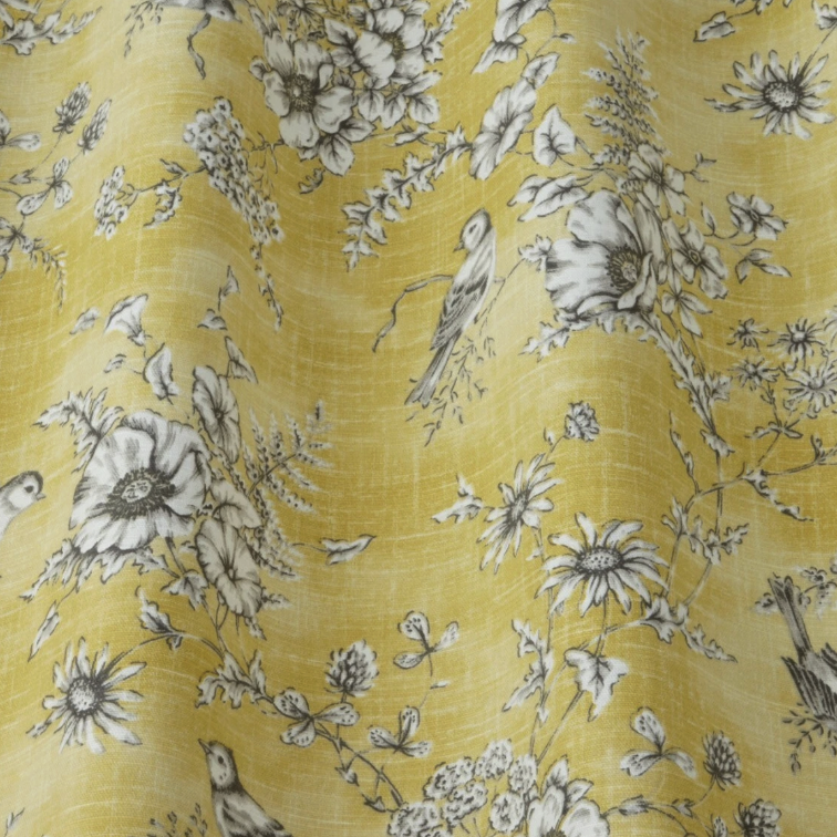 Finch Toule - Buttercup