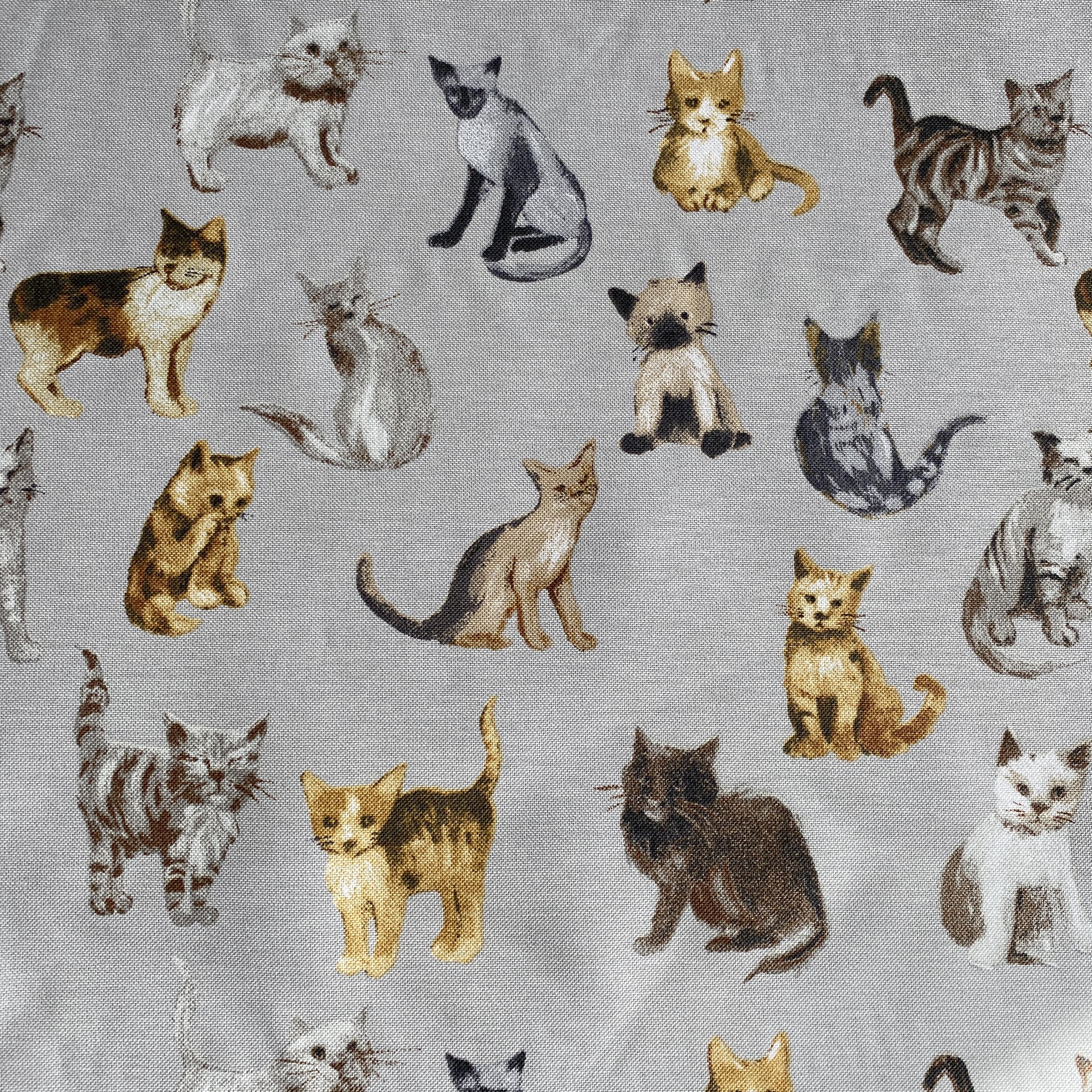 Cool Cats