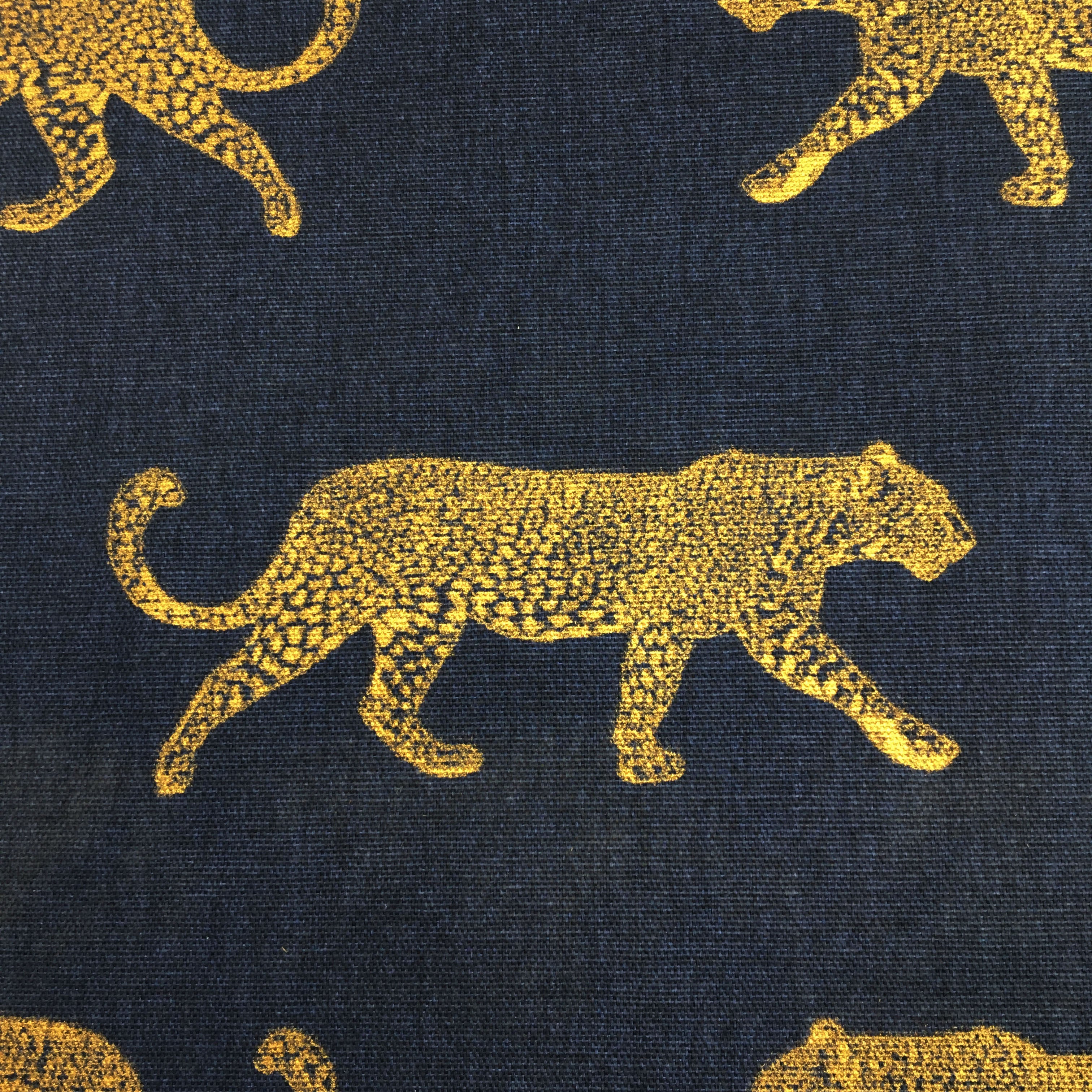 Leopard Panama - Midnight