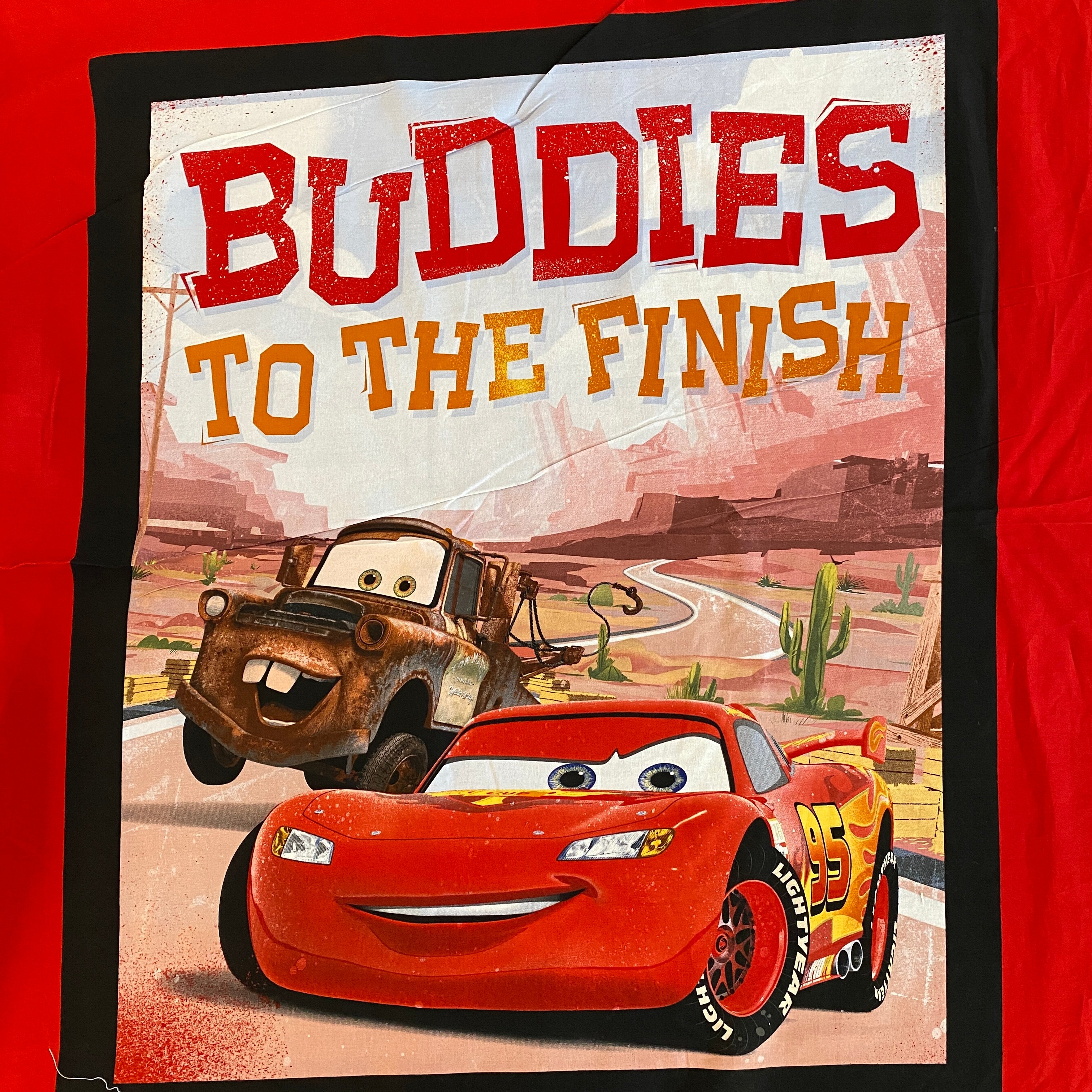 Disney Novelty Panel