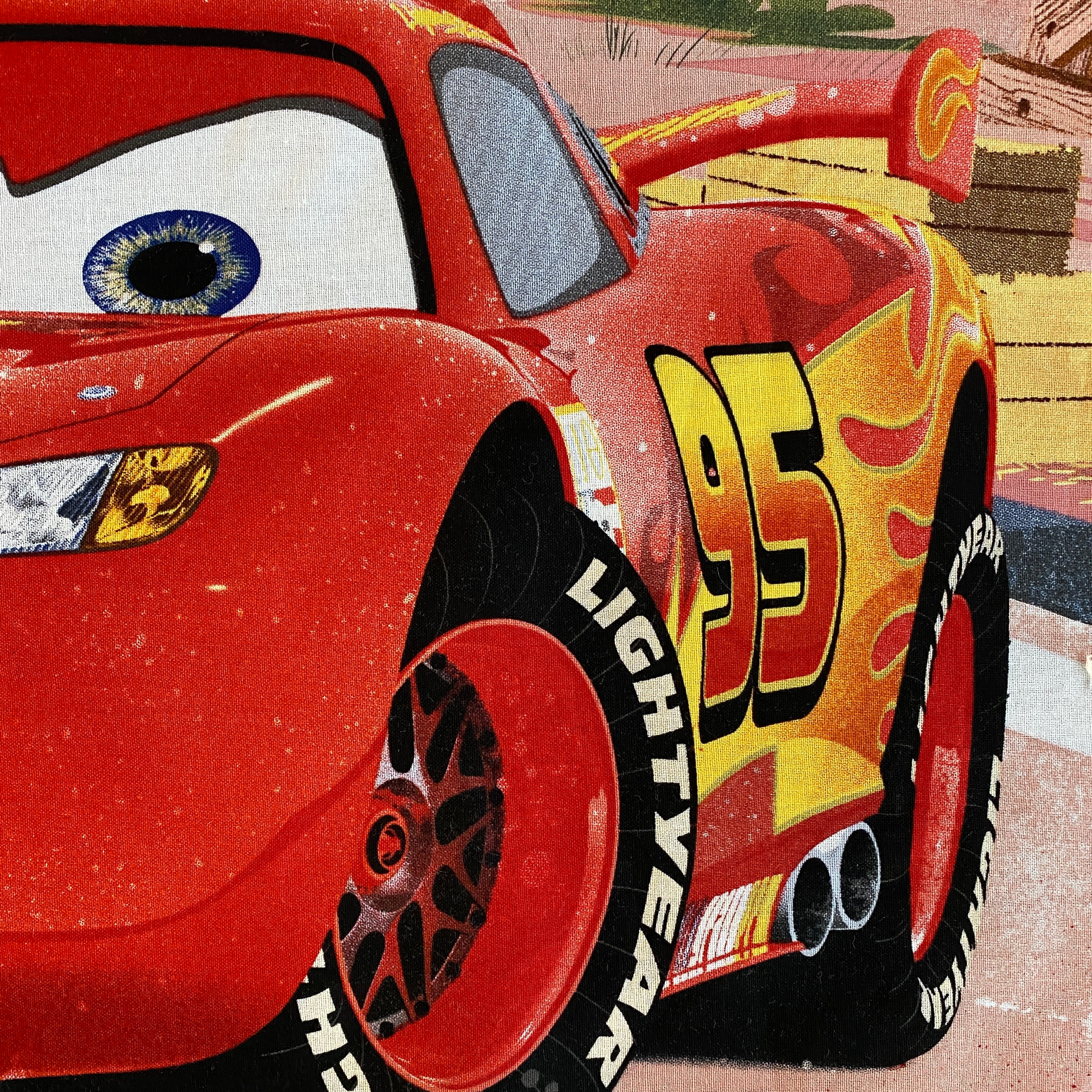 Disney Novelty Panel