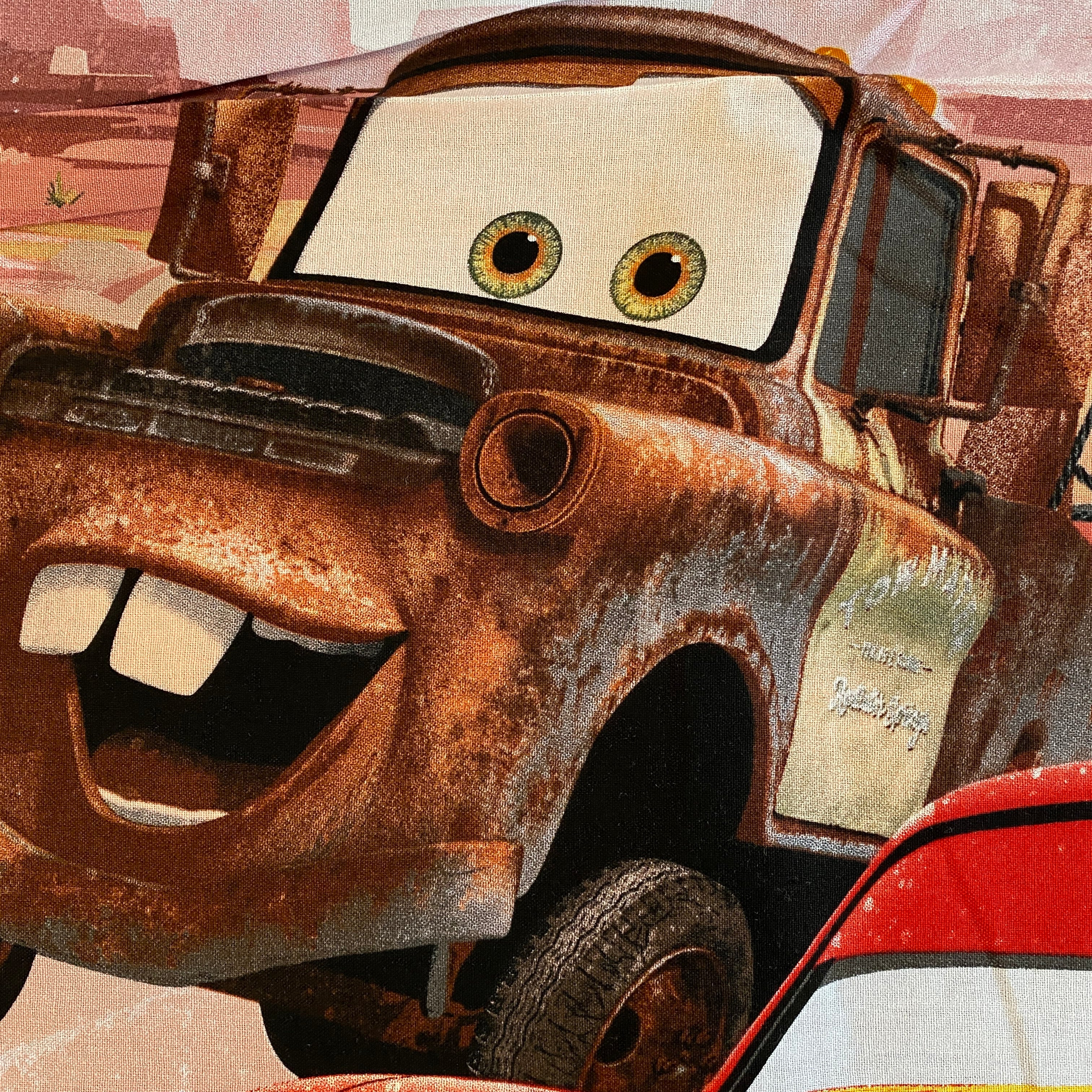 Disney Novelty Panel