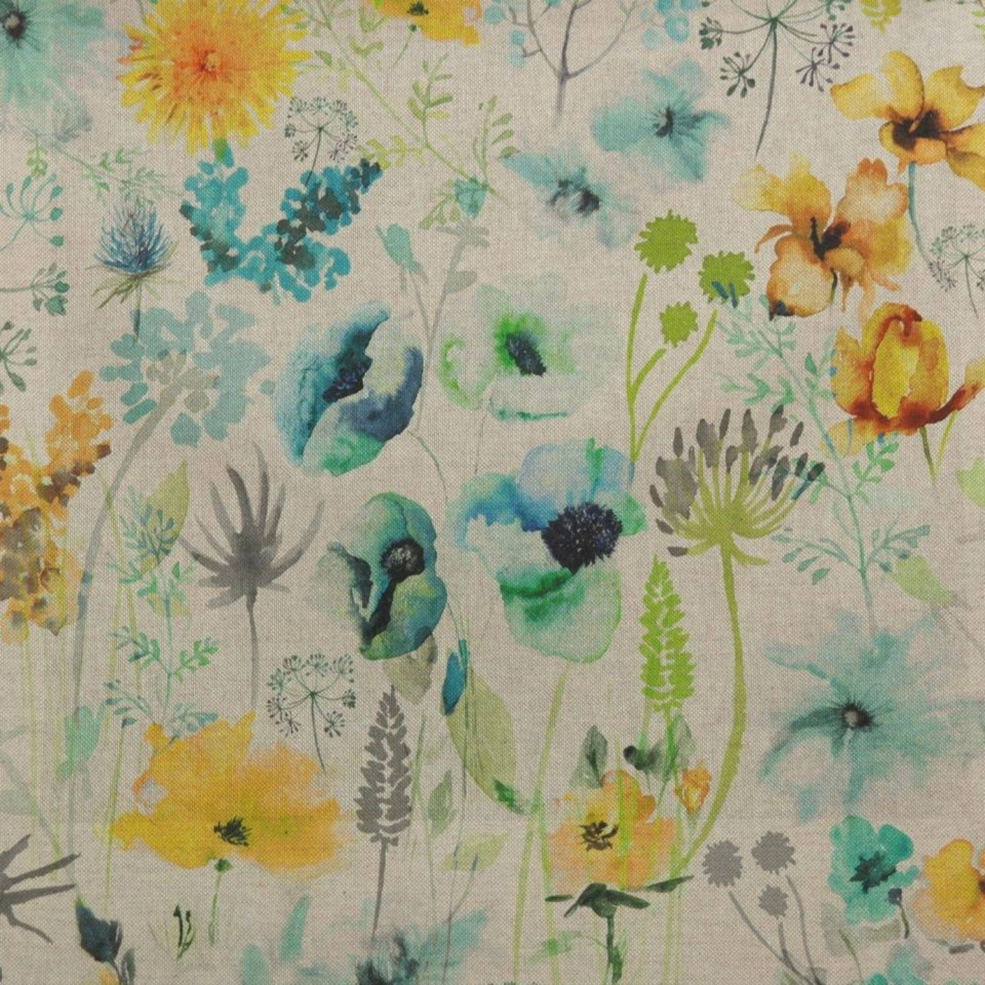 Fieldfare - Seagrass