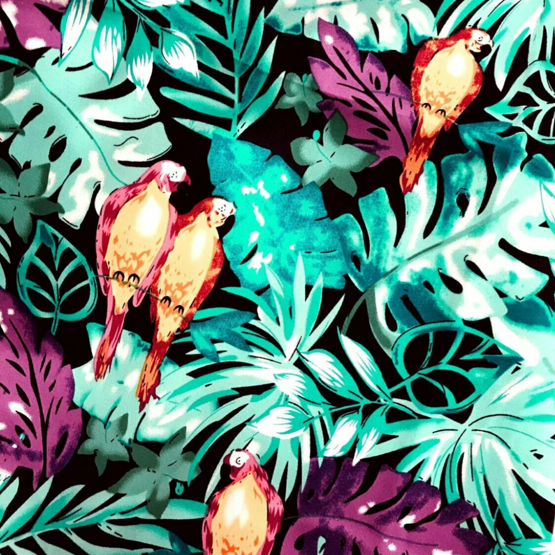 Stretch Cotton - Jardin Parrots