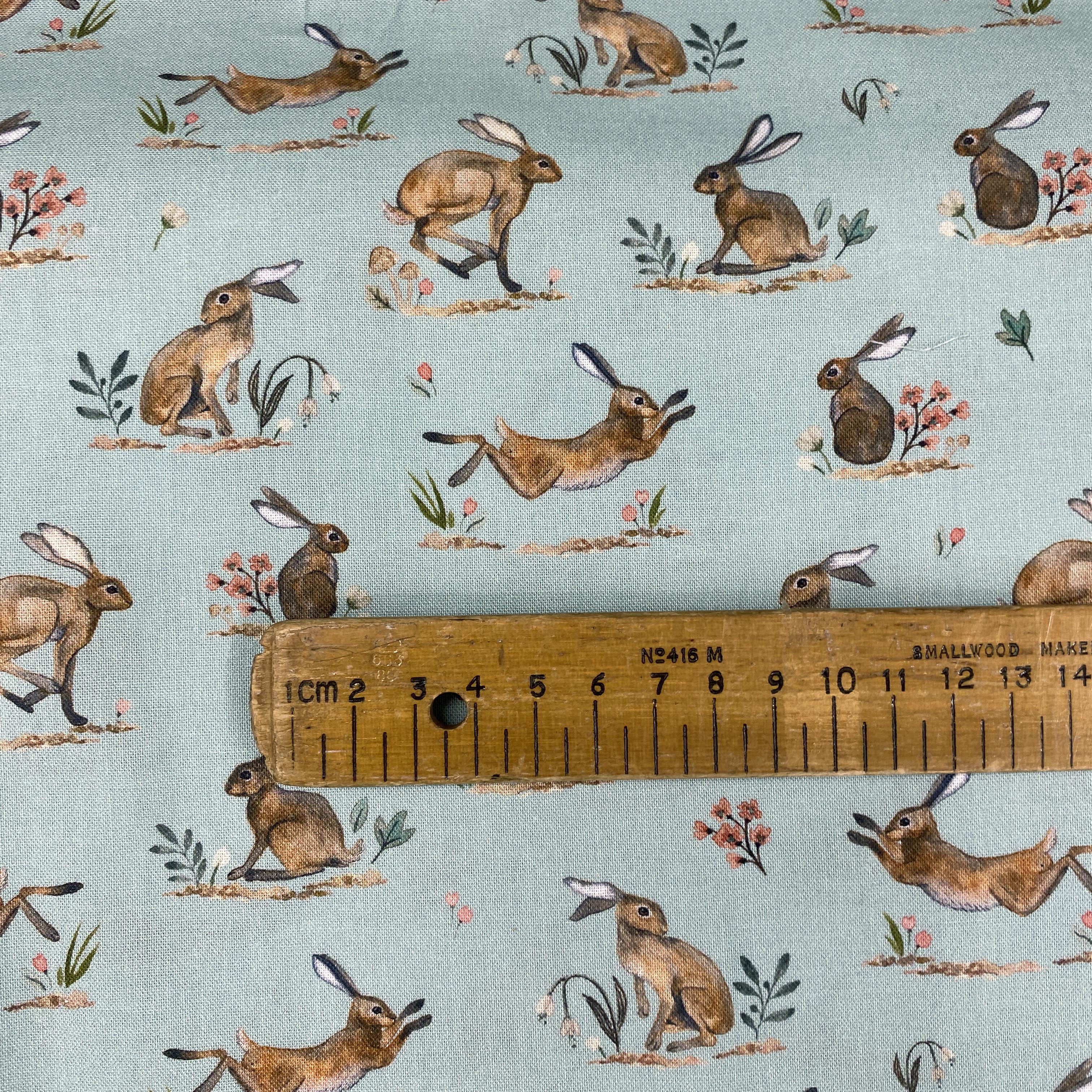 Leaping Hares