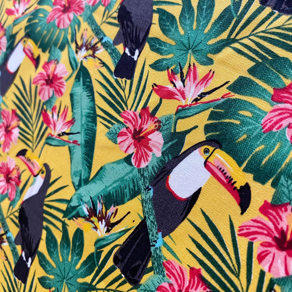 Toucan Vibes