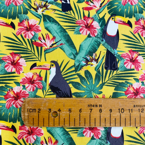 Toucan Vibes