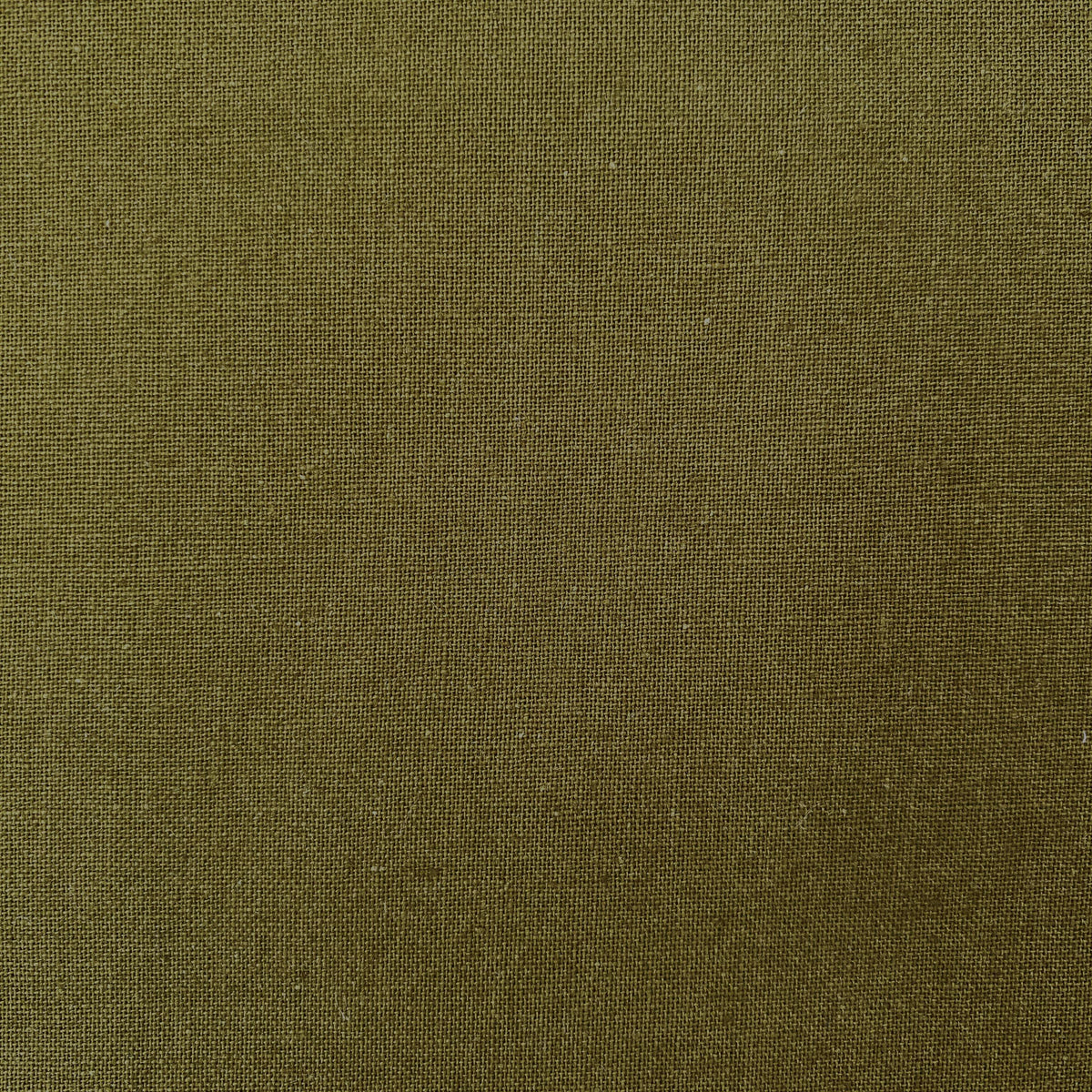 Plain Dyed Cotton - Khaki