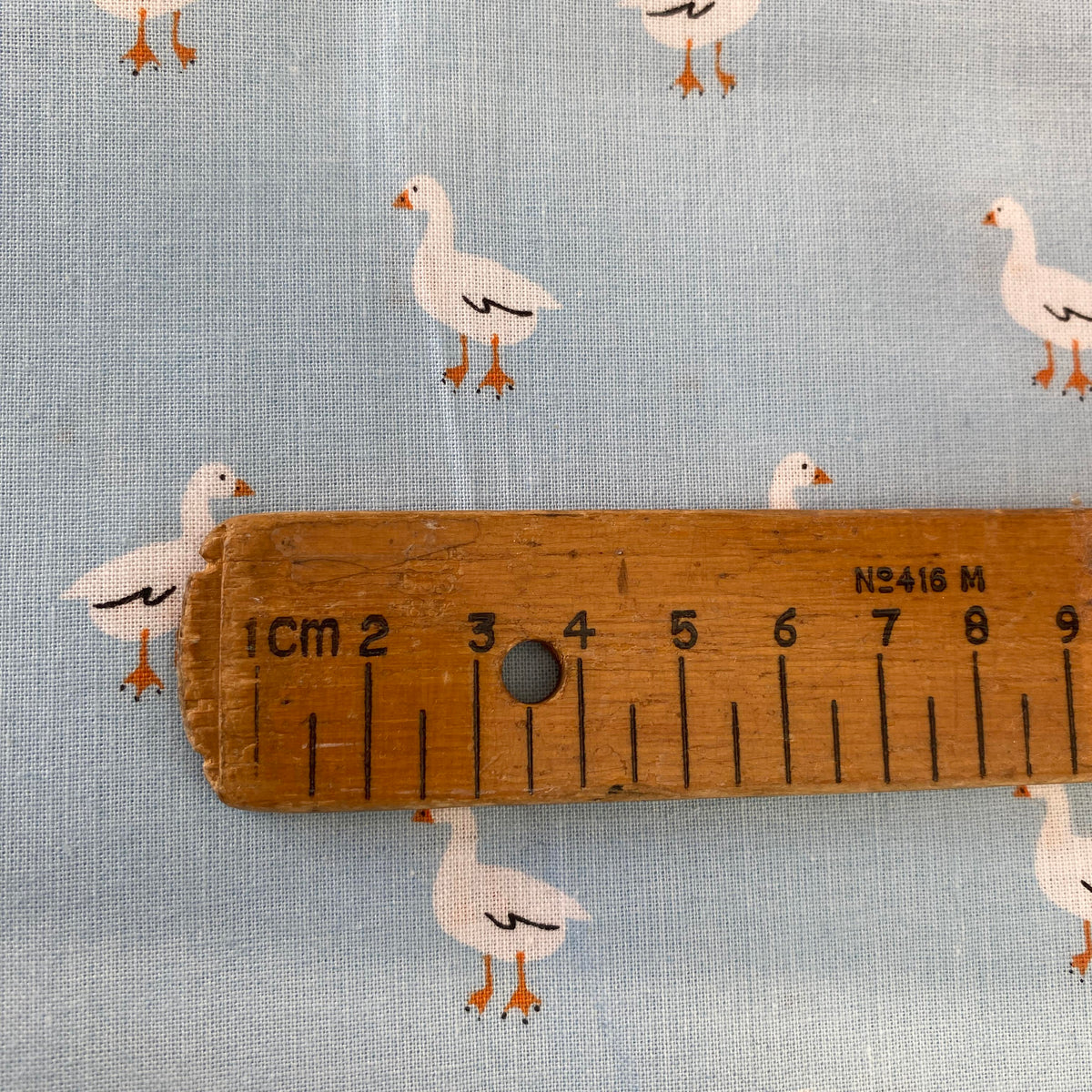 Cheeky Geese