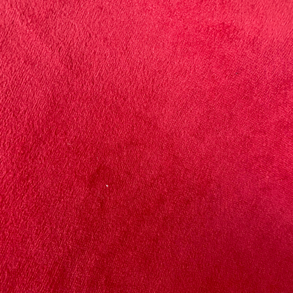 Coral Rose Velvet Touch