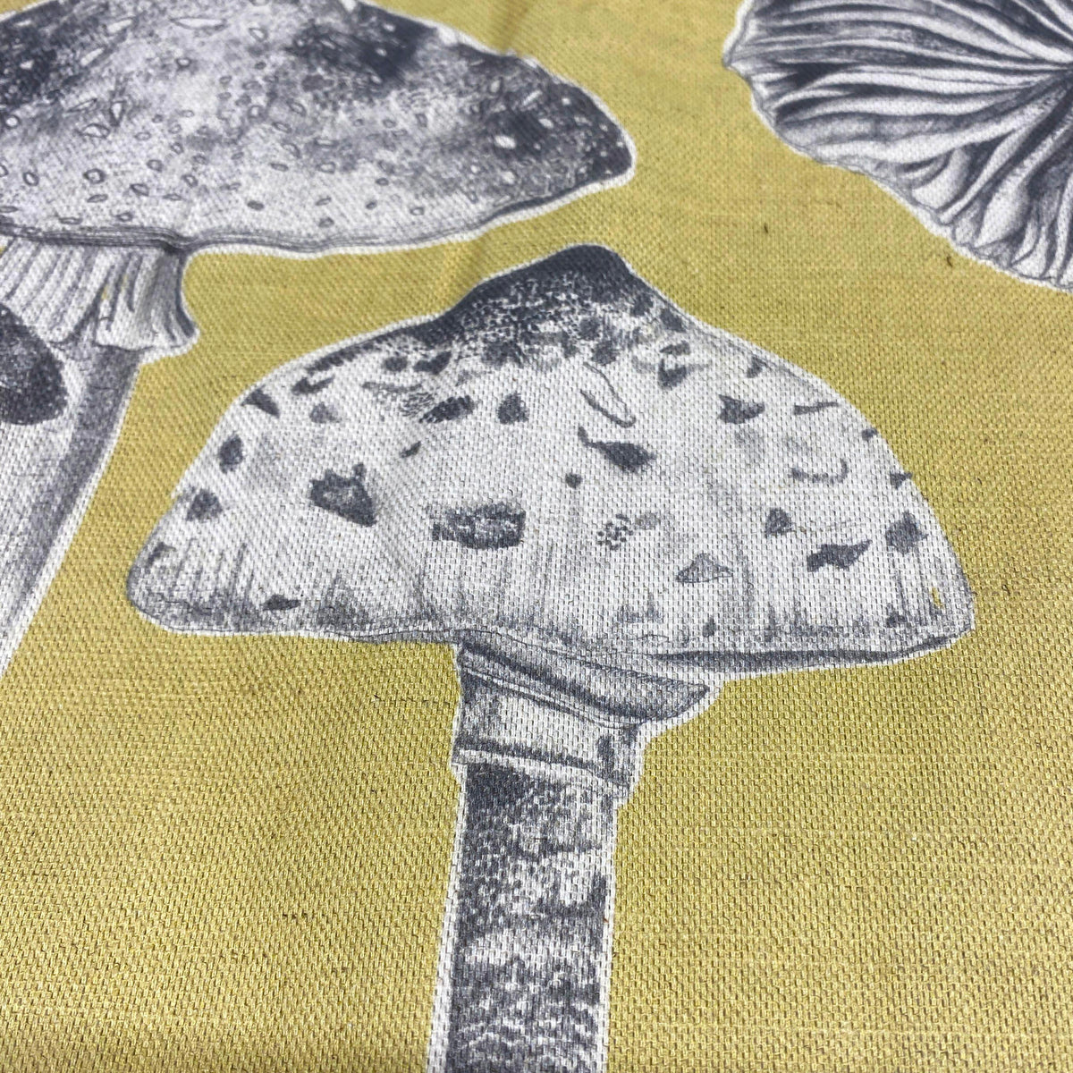 Toadstools