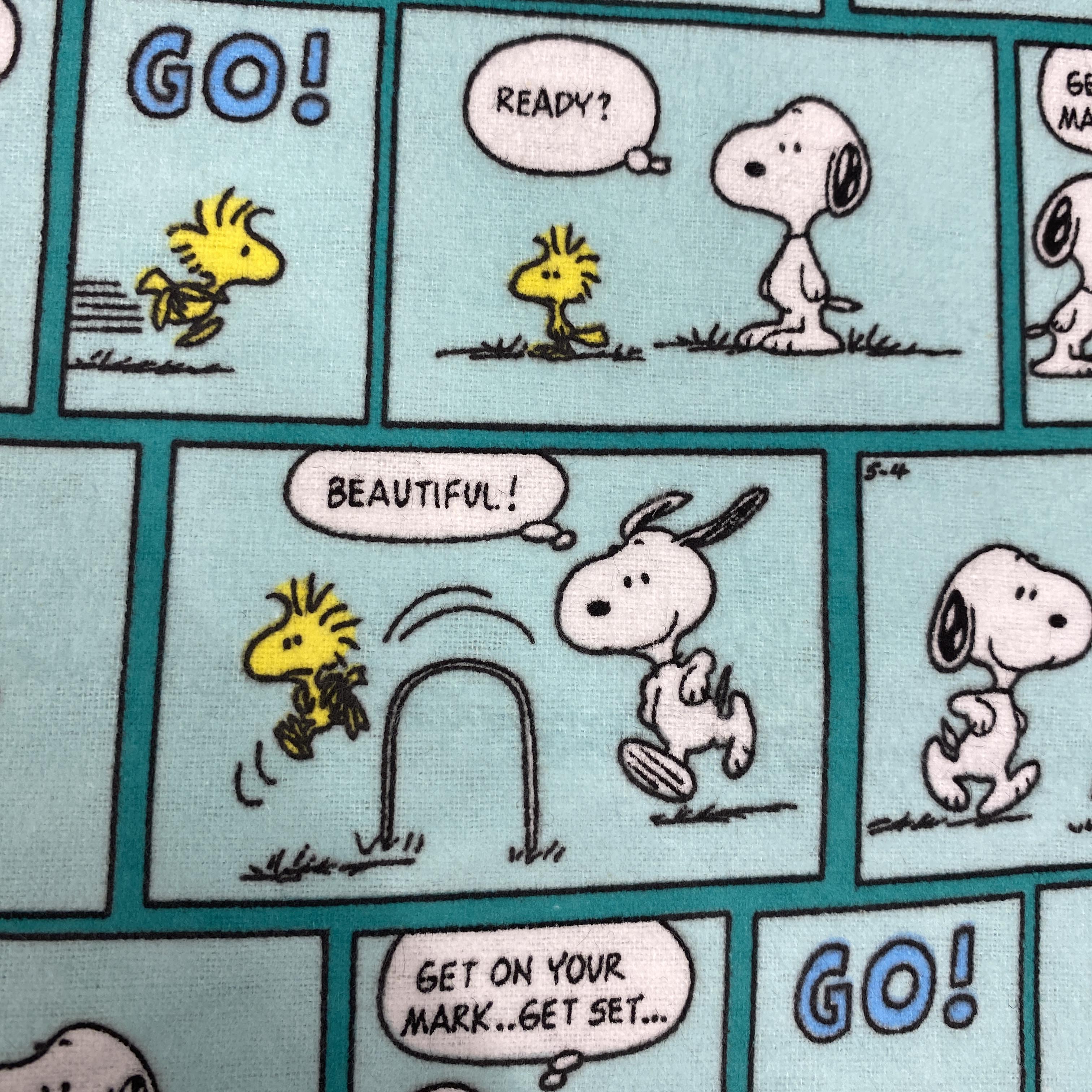Snoopy Go!