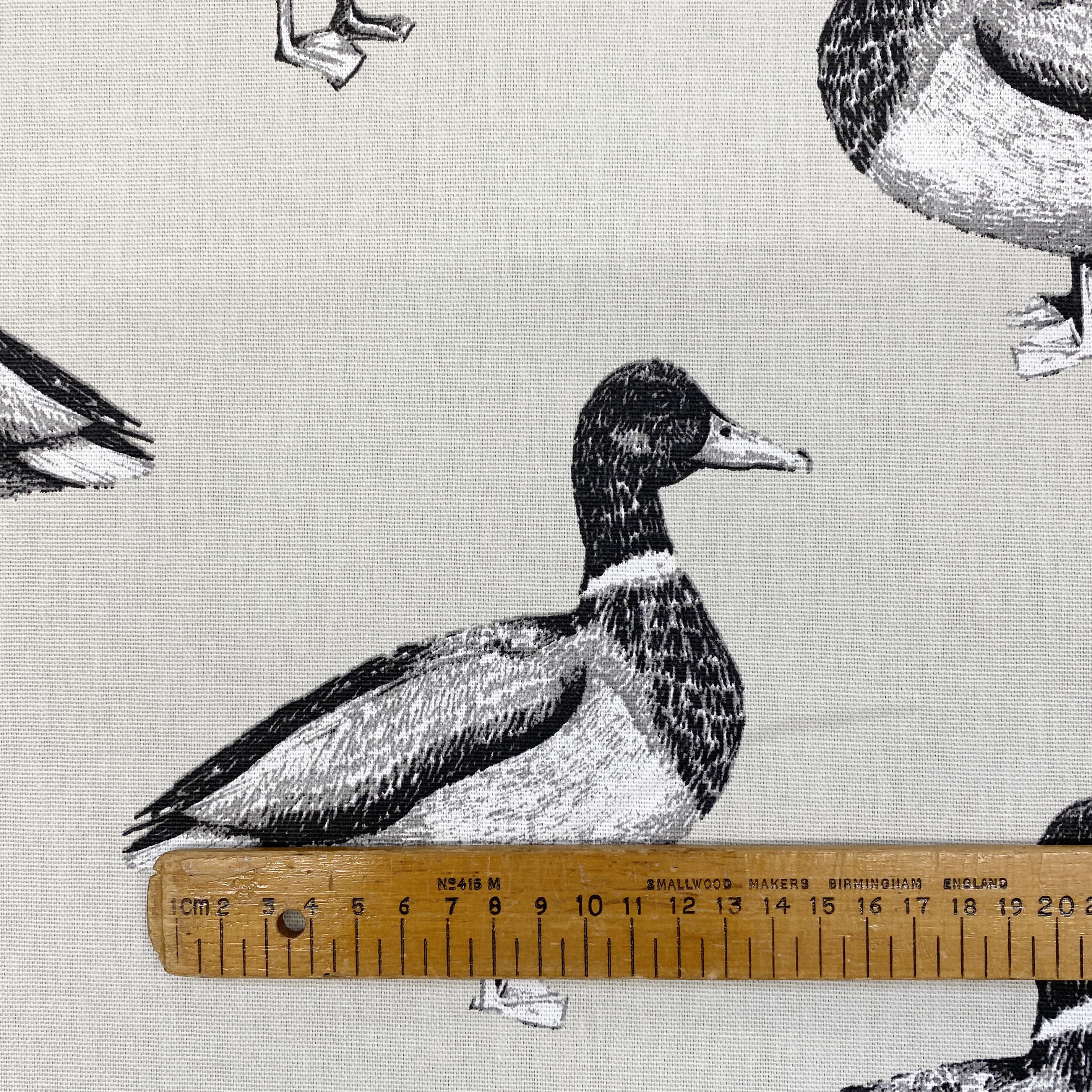 Duck Canvas