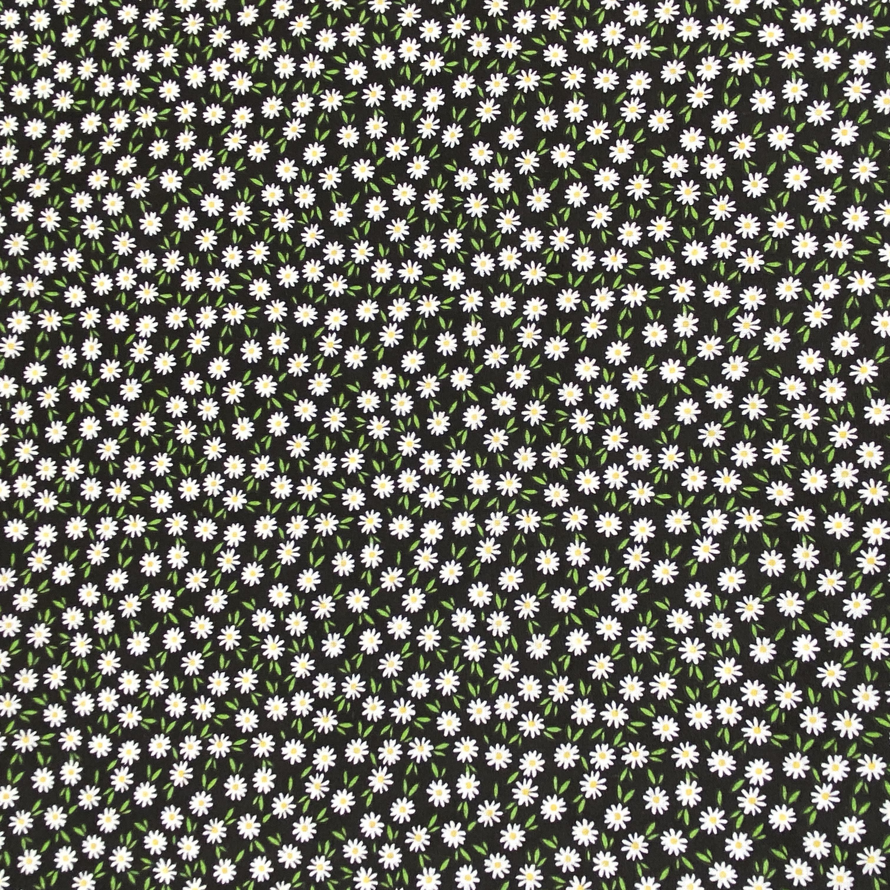 Ditsy Daisies