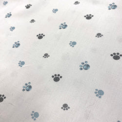 Paw Prints