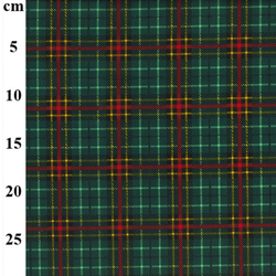 Festive Tartan