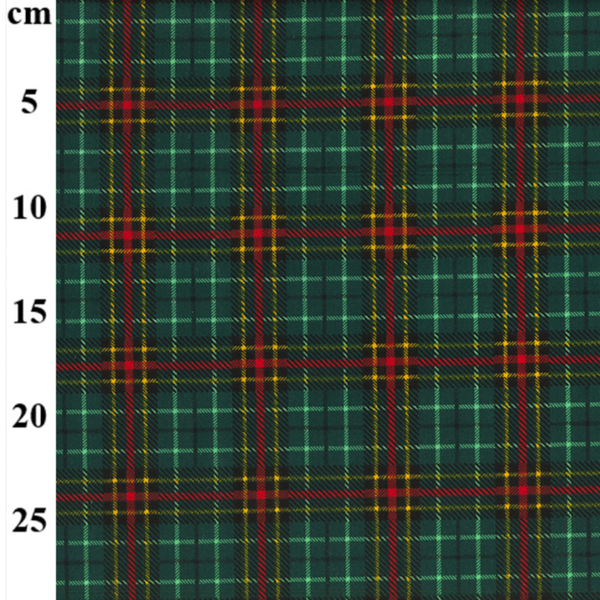 Festive Tartan