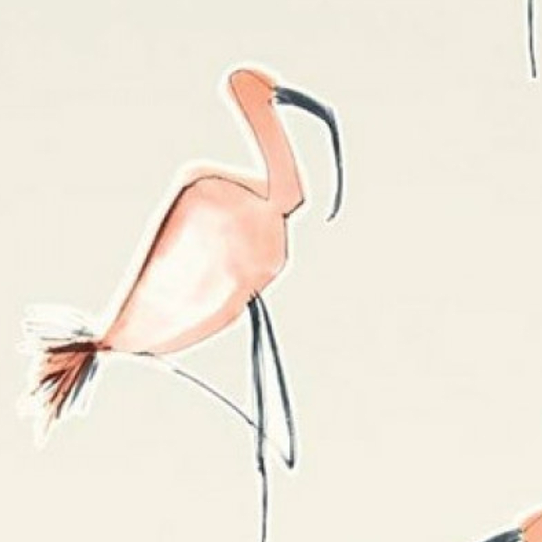 Zanzibar Peach by Scion