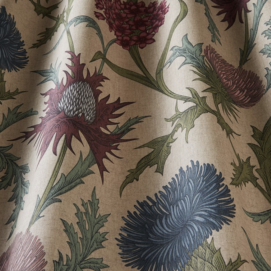 Acanthium Foxglove - 139cm x 120cm