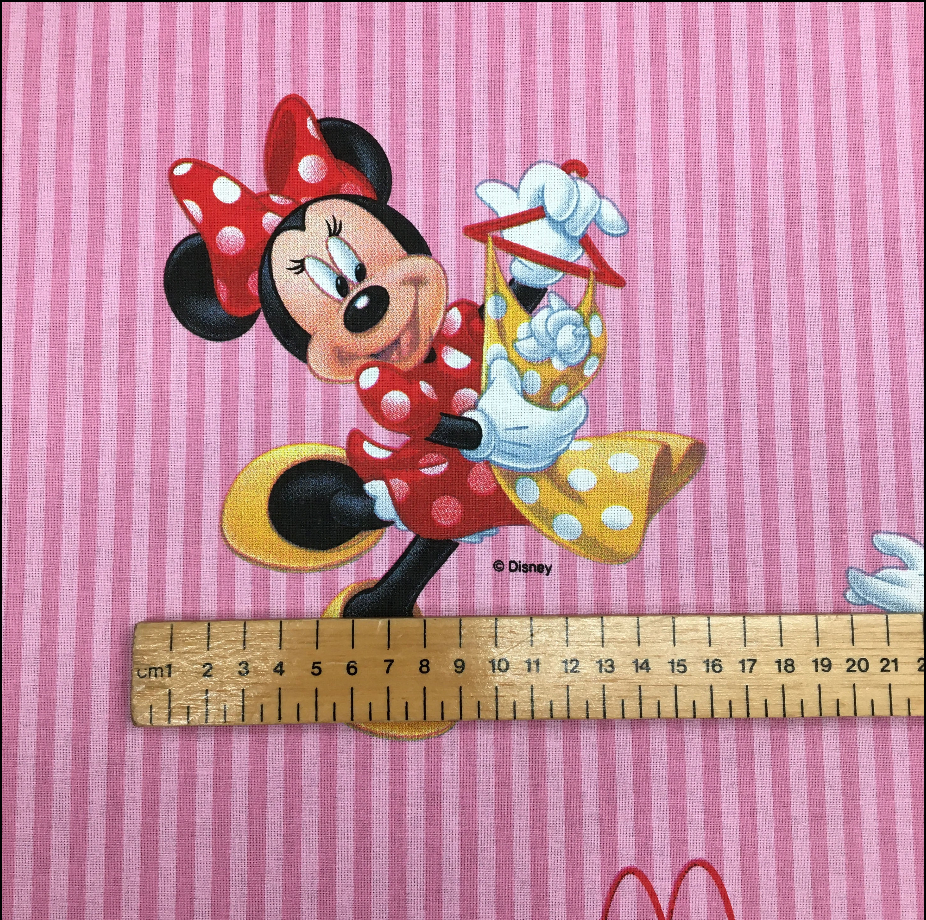 Disney Minnie Mouse - 139cm x 300cm