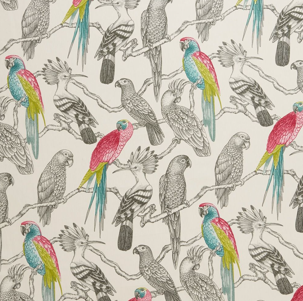 Aviary - Begonia - 139cm x 240cm