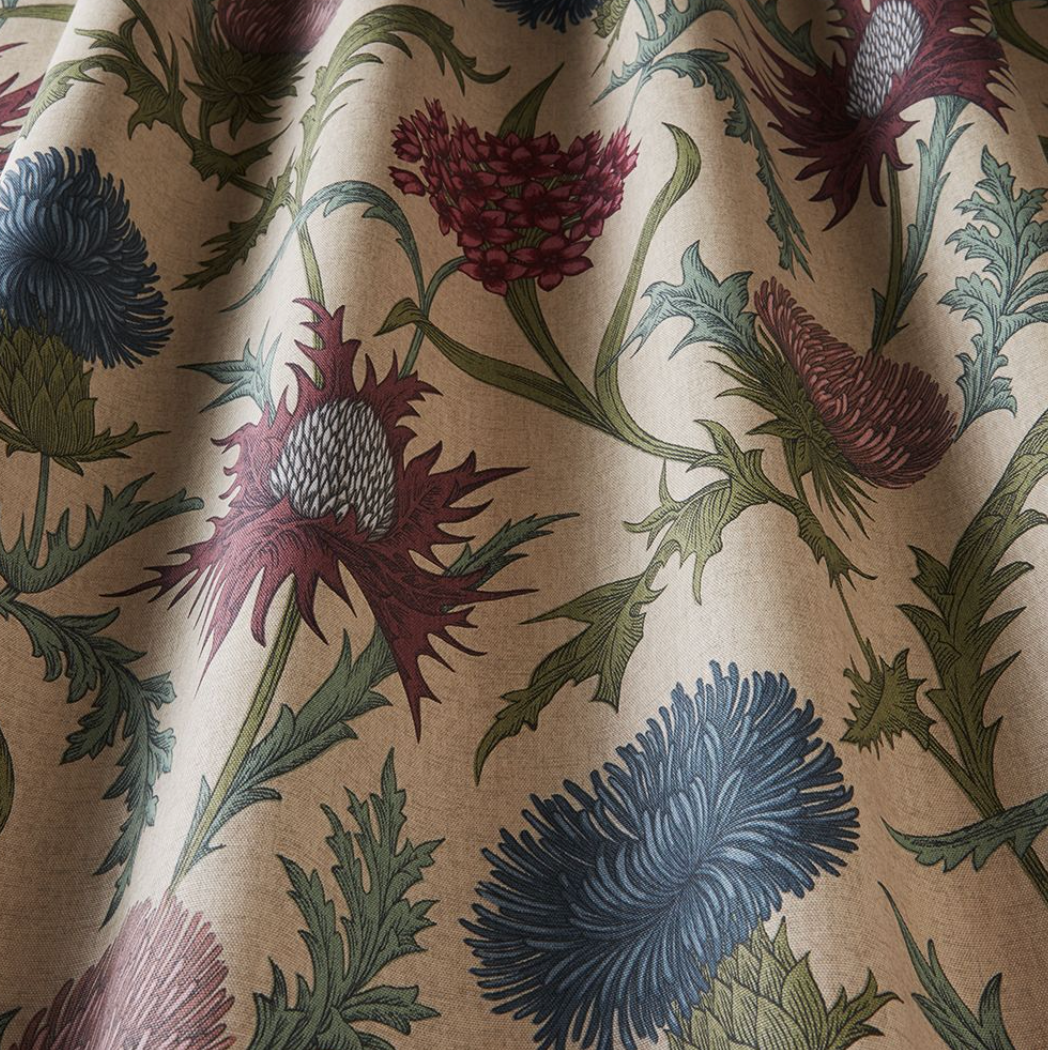 Acanthium  - Foxglove - 139cm x 290cm