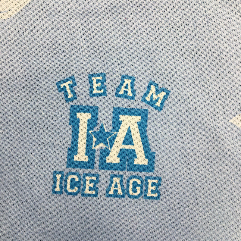 Team Ice Age